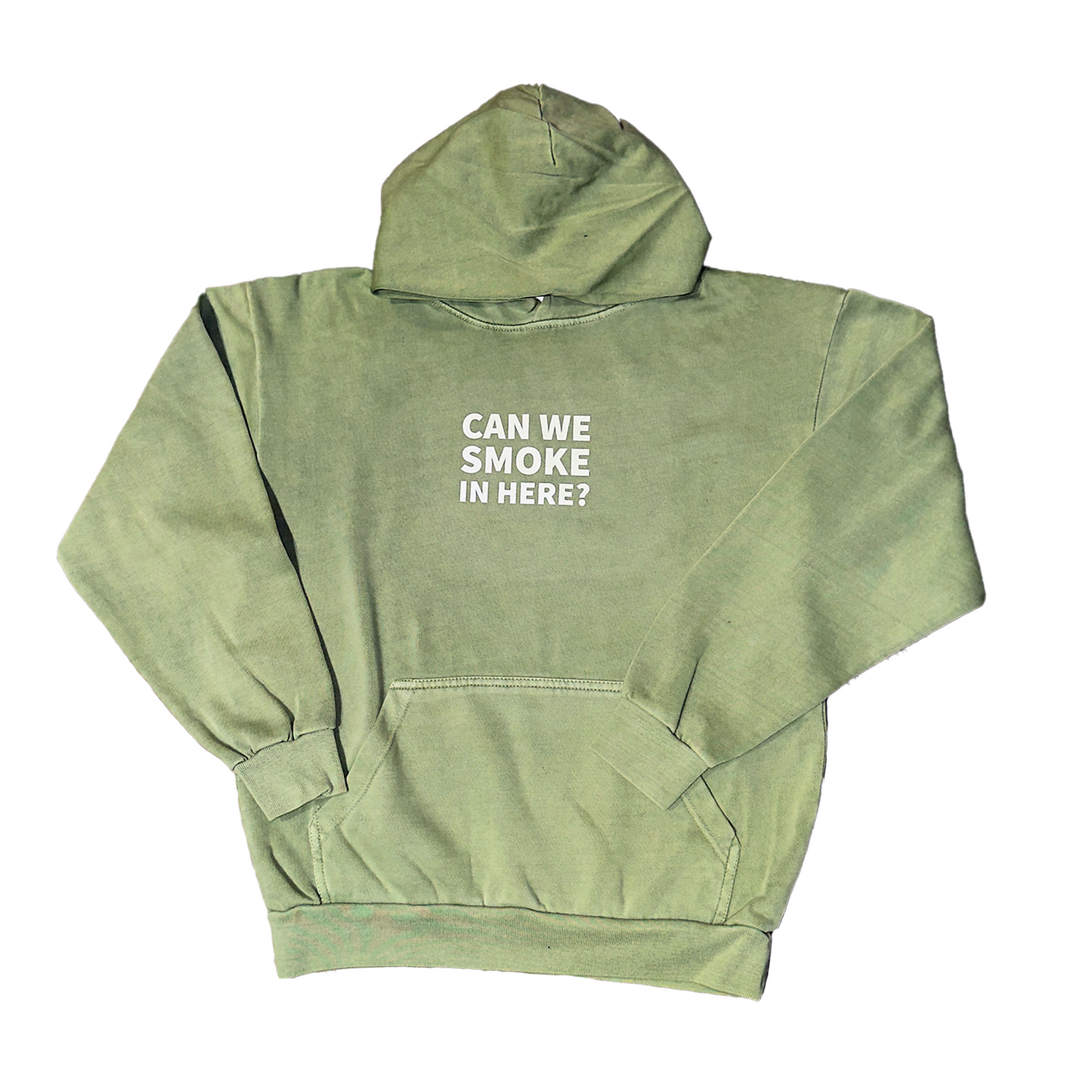 Can We Smoke In Here? Oversized Washed Sage Hoody